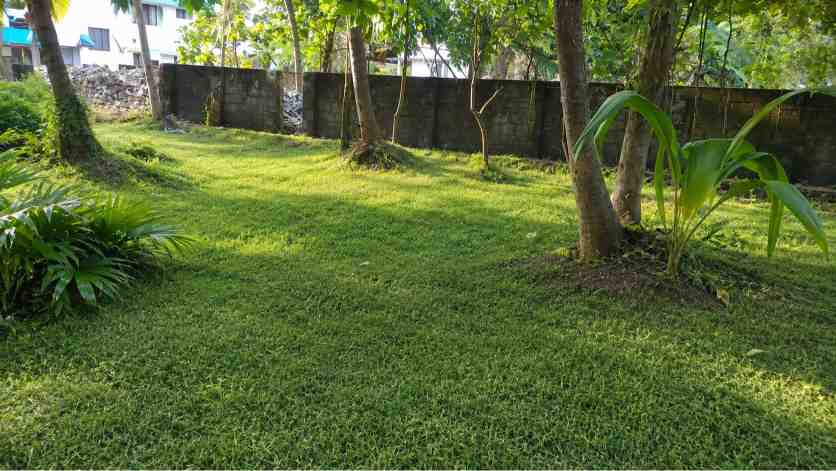 25 Cent Land for Sale in Chembumukku, Kochi in Chembumukku, Kochi