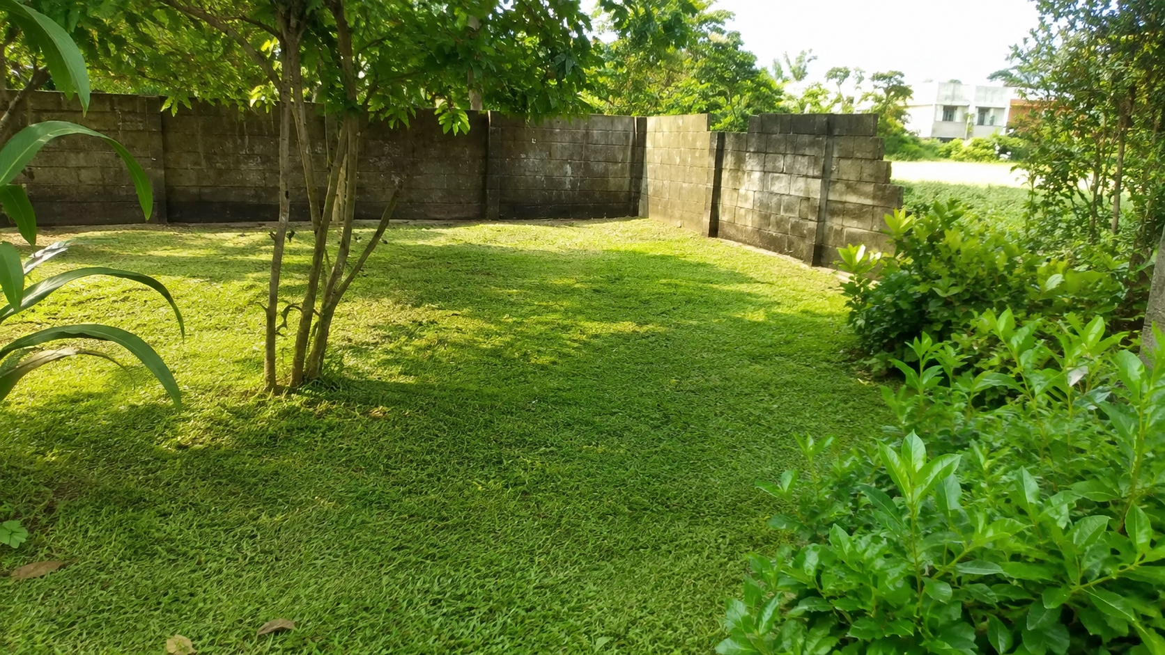 25 Cent Land for Sale in Chembumukku, Kochi — ChatGPT Image Aug 10, 2026, 07 55 26 PM