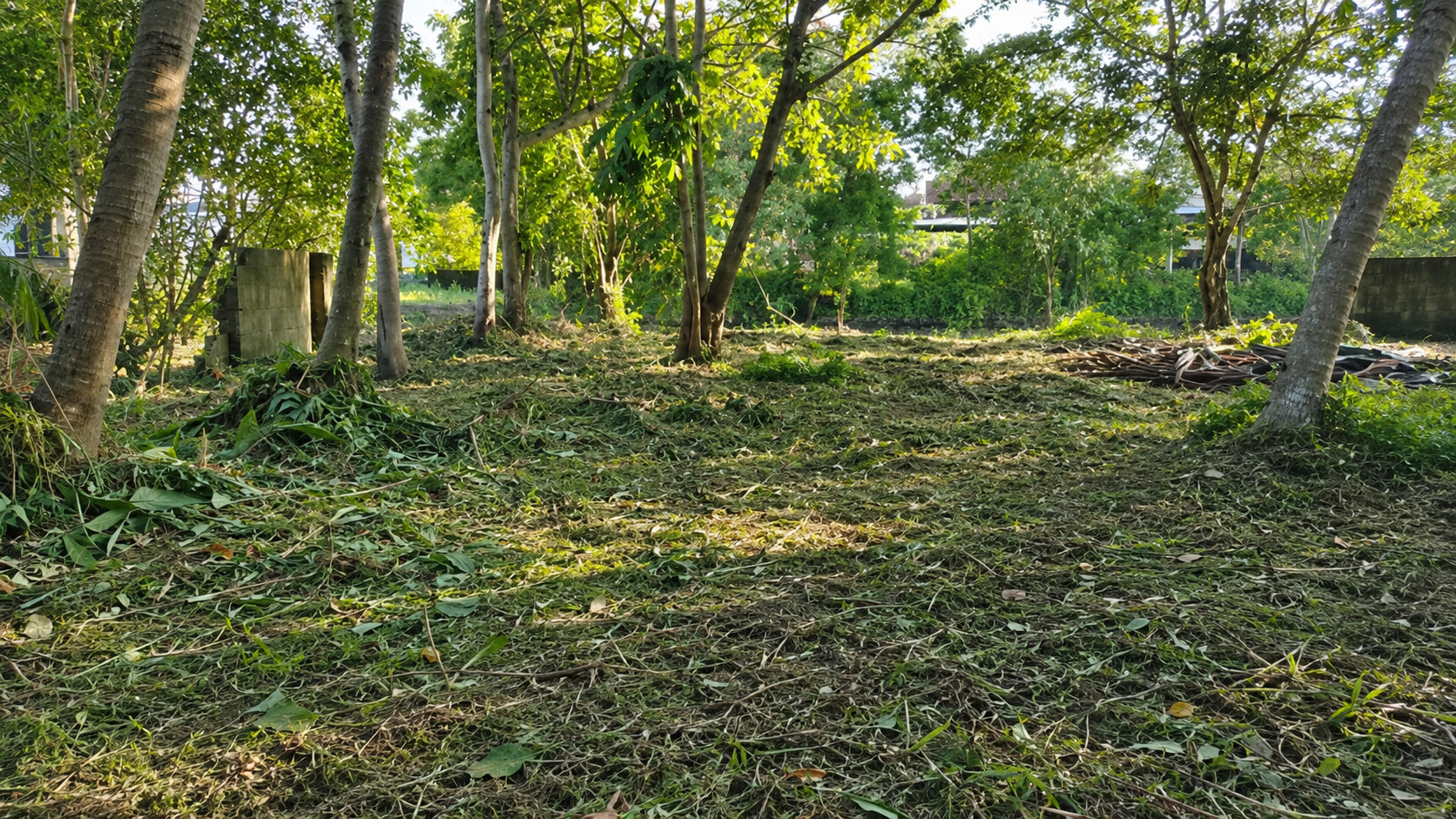 25 Cent Land for Sale in Chembumukku, Kochi — ChatGPT Image Aug 10, 2026, 07 55 32 PM