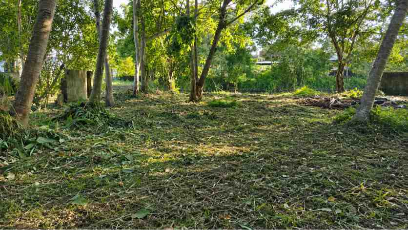 25 Cent Land for Sale in Chembumukku, Kochi — ChatGPT Image Aug 10, 2026, 07 55 32 PM