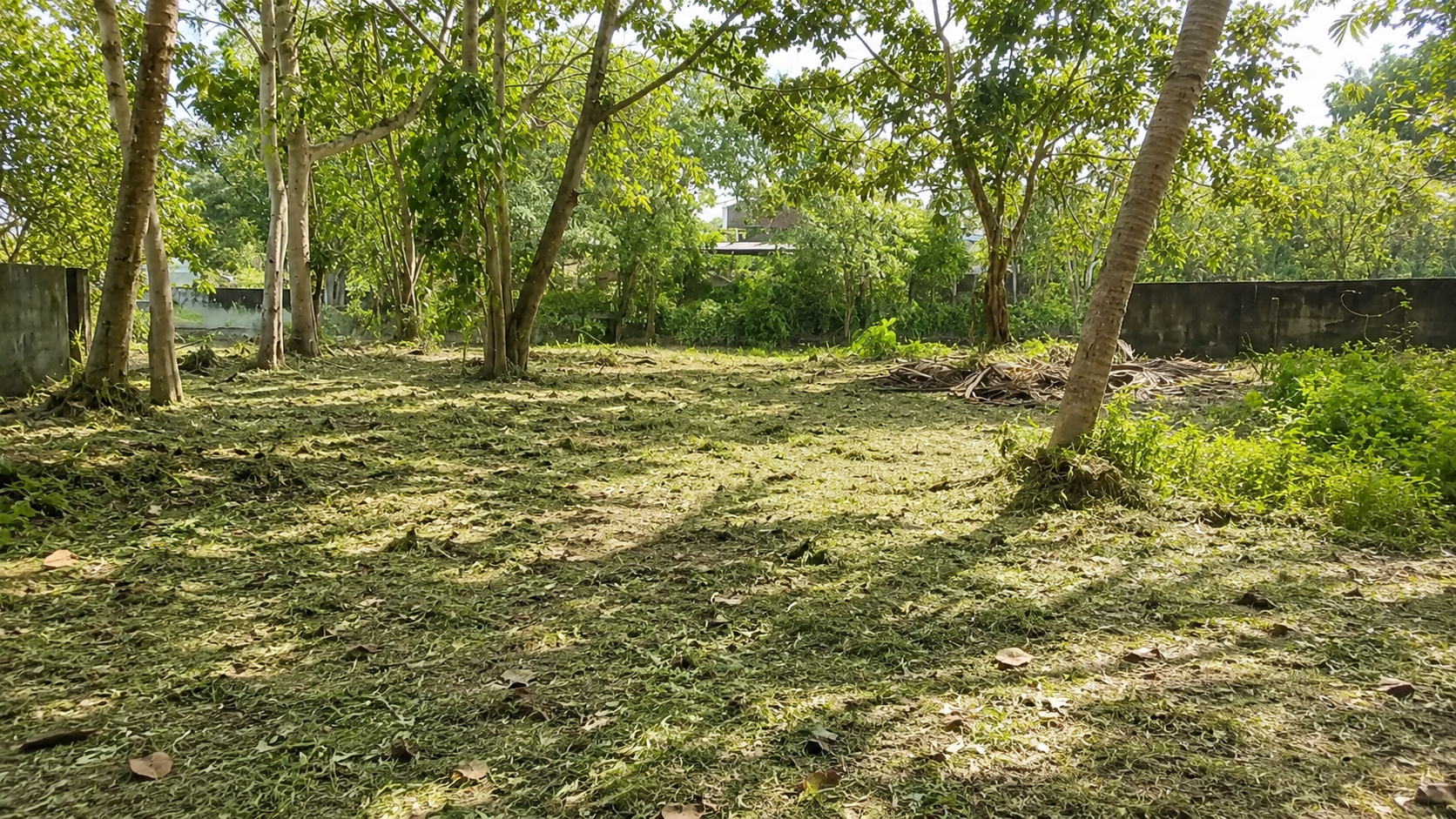 25 Cent Land for Sale in Chembumukku, Kochi — ChatGPT Image Aug 10, 2026, 07 55 36 PM