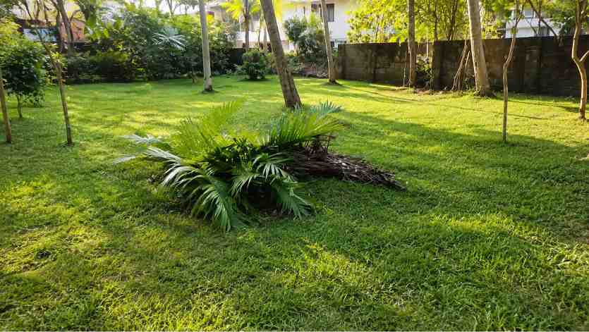 25 Cent Land for Sale in Chembumukku, Kochi — ChatGPT Image Aug 10, 2026, 07 55 42 PM