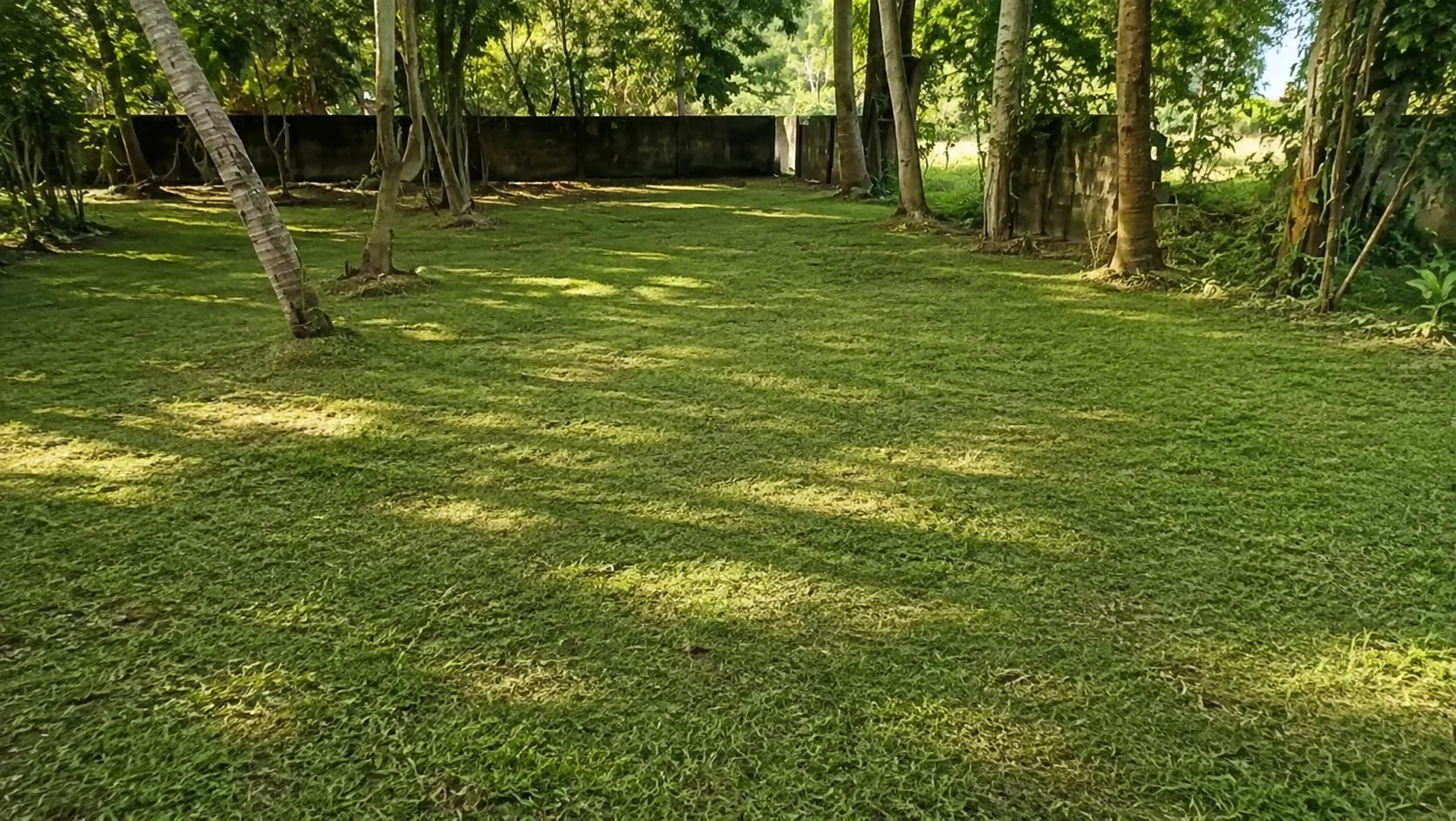 25 Cent Land for Sale in Chembumukku, Kochi — ChatGPT Image Aug 10, 2026, 07 55 50 PM