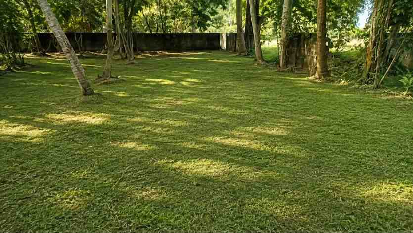 25 Cent Land for Sale in Chembumukku, Kochi — ChatGPT Image Aug 10, 2026, 07 55 50 PM