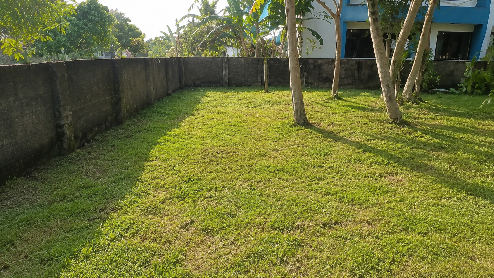 25 Cent Land for Sale in Chembumukku, Kochi — ChatGPT Image Aug 10, 2026, 07 55 54 PM
