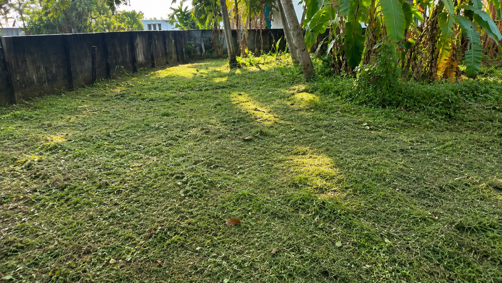 25 Cent Land for Sale in Chembumukku, Kochi — ChatGPT Image Aug 10, 2026, 07 56 41 PM
