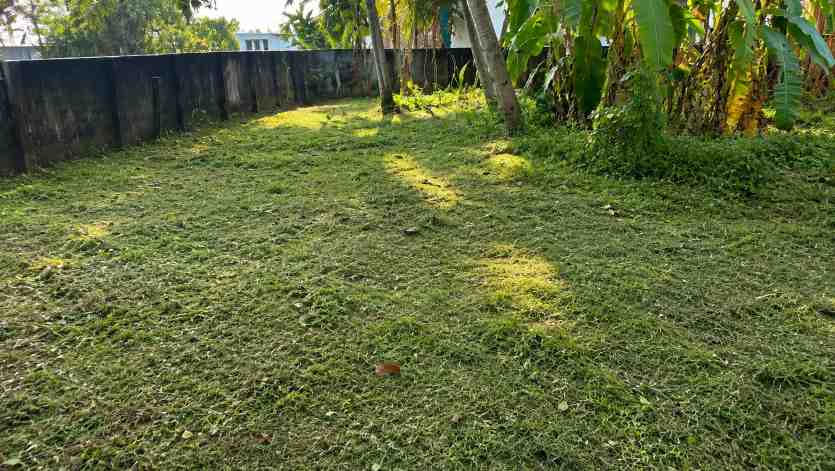 25 Cent Land for Sale in Chembumukku, Kochi — ChatGPT Image Aug 10, 2026, 07 56 41 PM