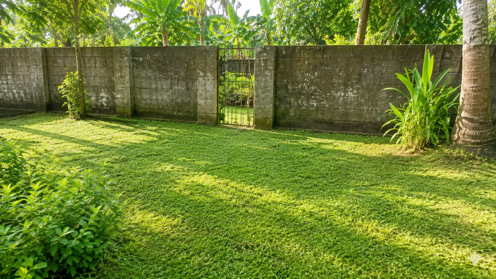 25 Cent Land for Sale in Chembumukku, Kochi — ChatGPT Image Aug 10, 2026, 07 57 28 PM
