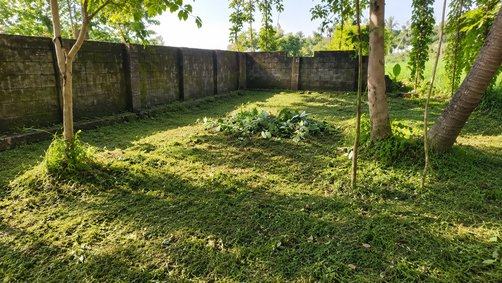 25 Cent Land for Sale in Chembumukku, Kochi — ChatGPT Image Aug 10, 2026, 07 57 32 PM