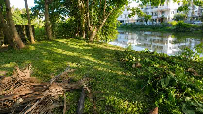 25 Cent Land for Sale in Chembumukku, Kochi — ChatGPT Image Aug 10, 2026, 07 59 39 PM