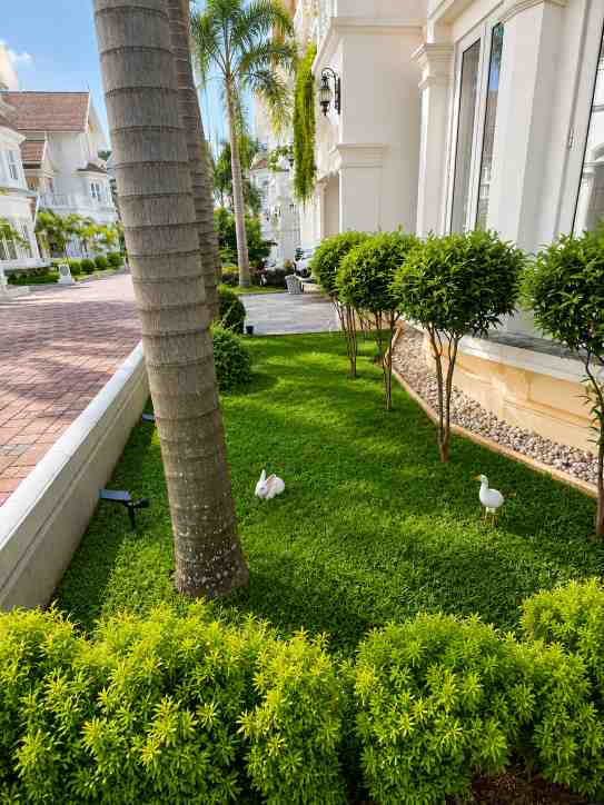 4 BHK Luxury Villa for Sale at Travancore Swiss Garden, Kochi — ChatGPT Image Aug 10, 2026, 10 05 06 PM