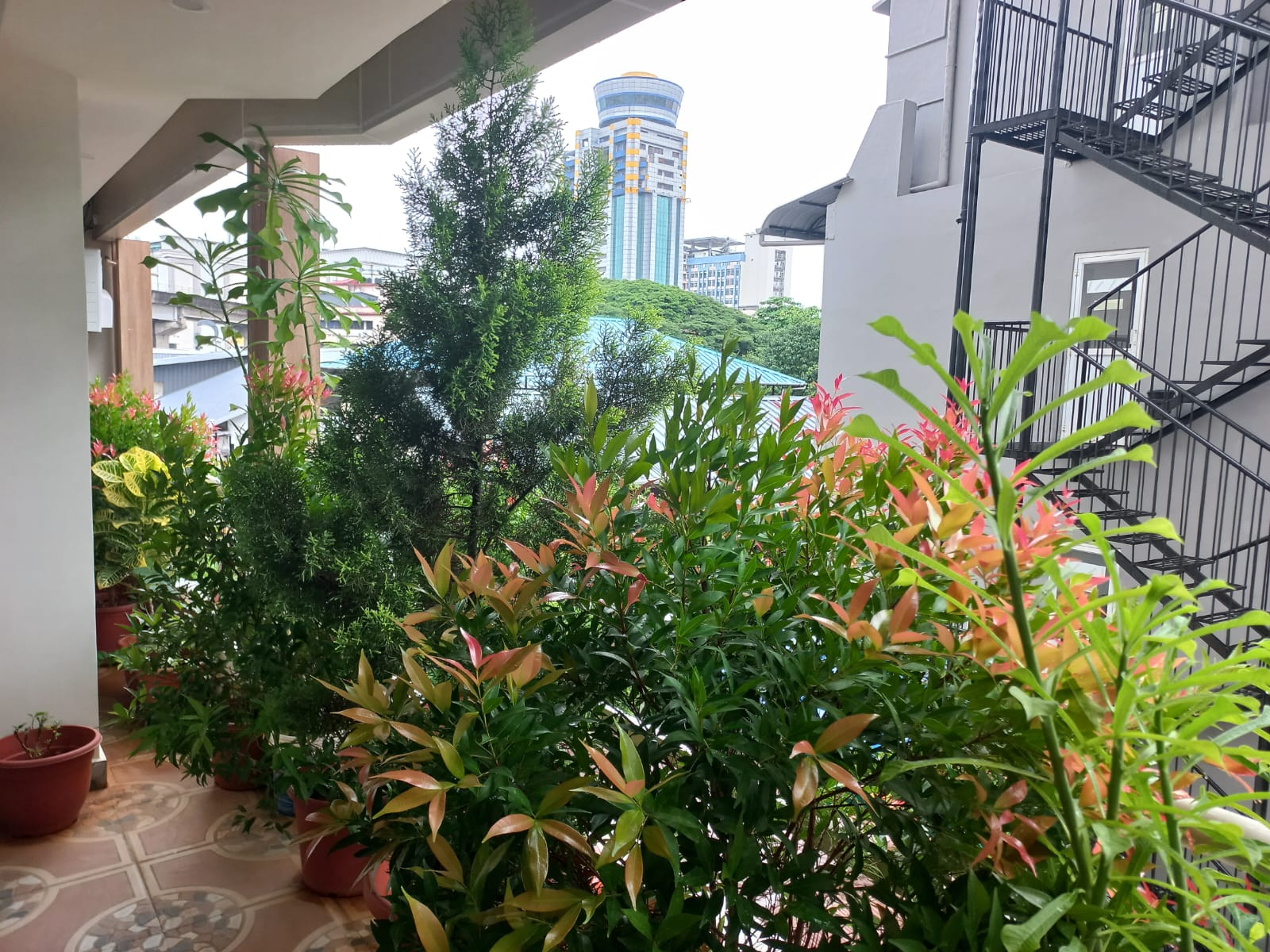 Express Towers Apartments for Sale in Kaloor, Kochi — WhatsApp Image 2026 03 21 at 6.14.06 PM